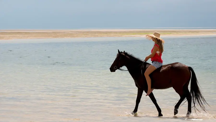andbeyond-benguerra-island-mozambique — dining