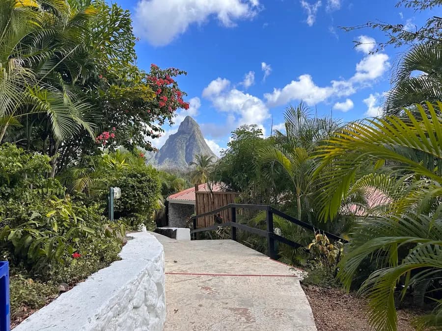 anse-chastanet-resort-st-lucia — dining