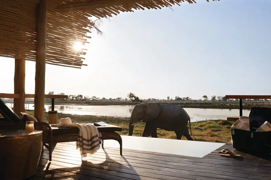 belmond-eagle-island-lodge-okavango-botswana — dining