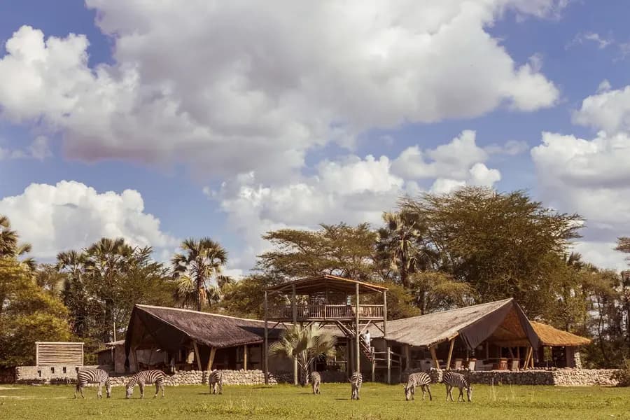 chem-chem-lodge-tanzania — dining
