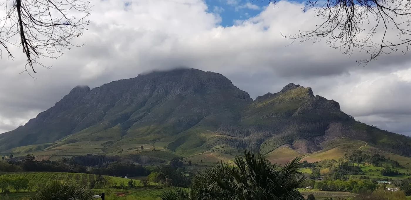 delaire-graff-estate-stellenbosch-south-africa — hero