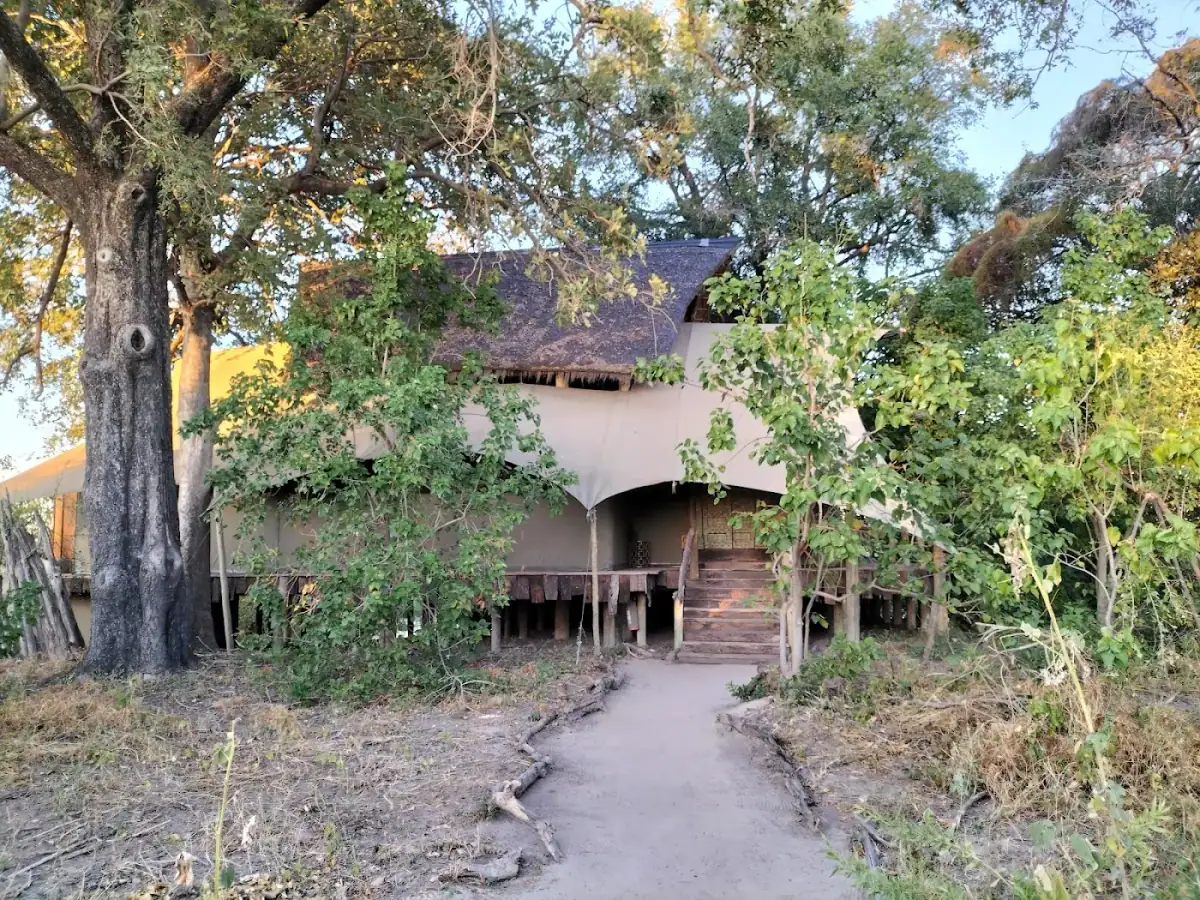 duba-plains-camp-great-plains-botswana — hero