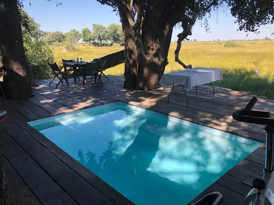 duba-plains-camp-great-plains-botswana — pool