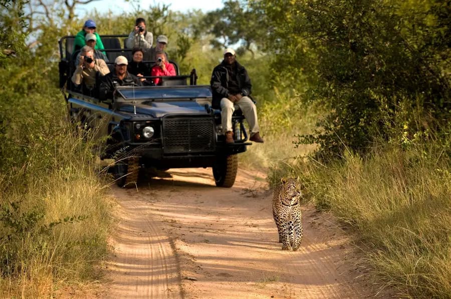malamala-game-reserve-south-africa — spa