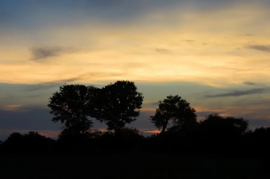 mombo-camp-okavango-botswana — dining