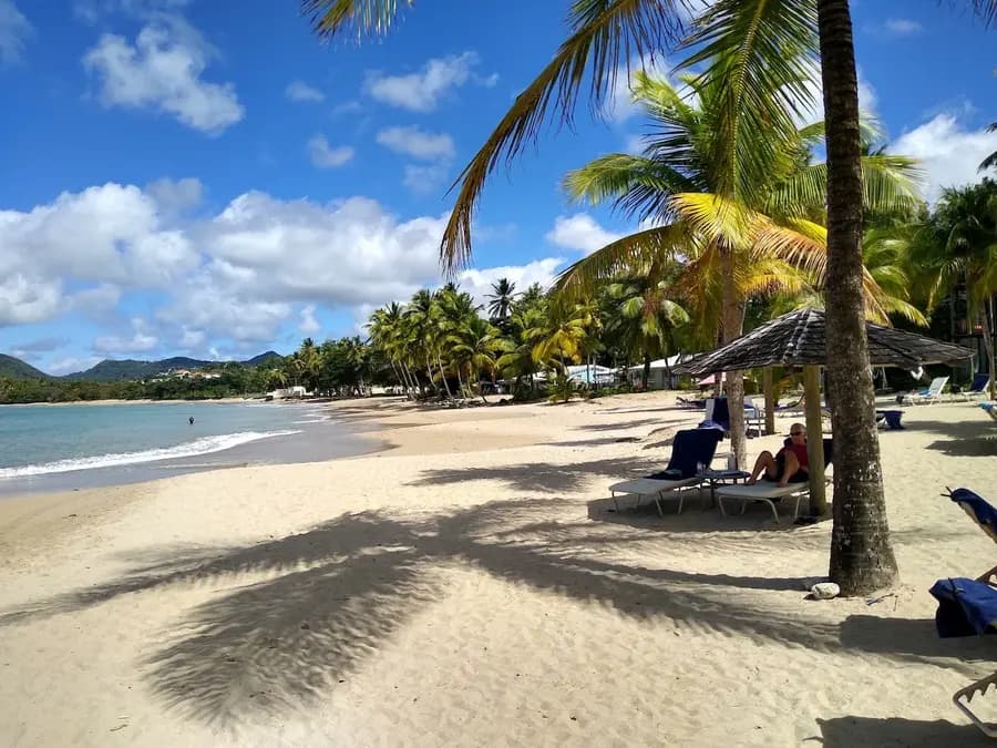 rendezvous-resort-st-lucia — dining