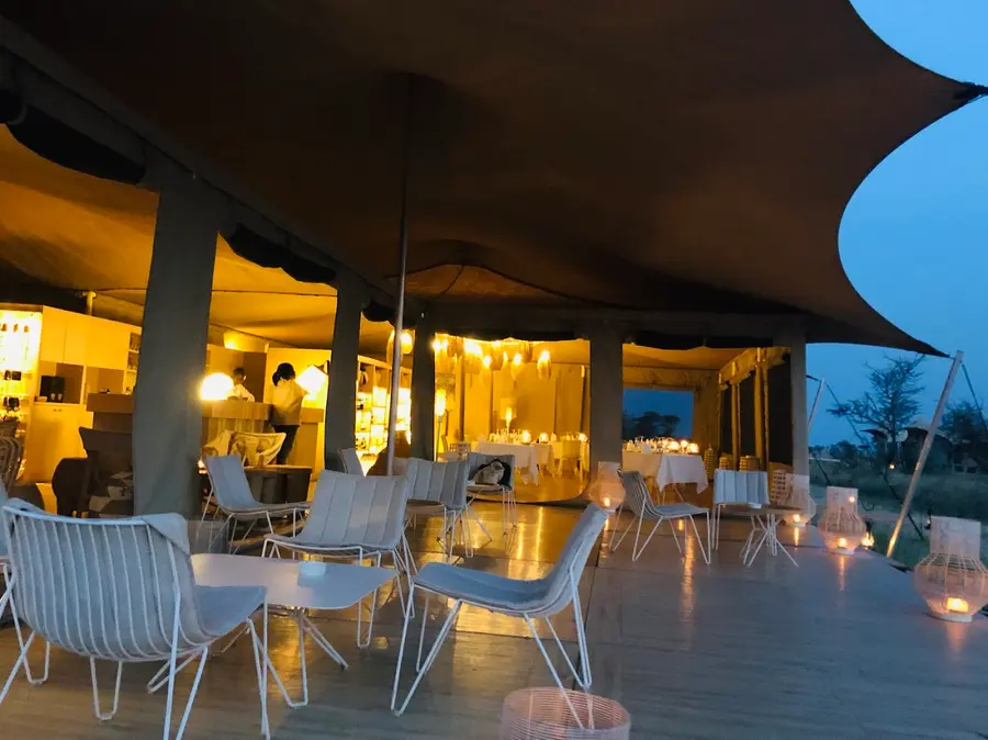 roving-bushtops-serengeti-tanzania — room