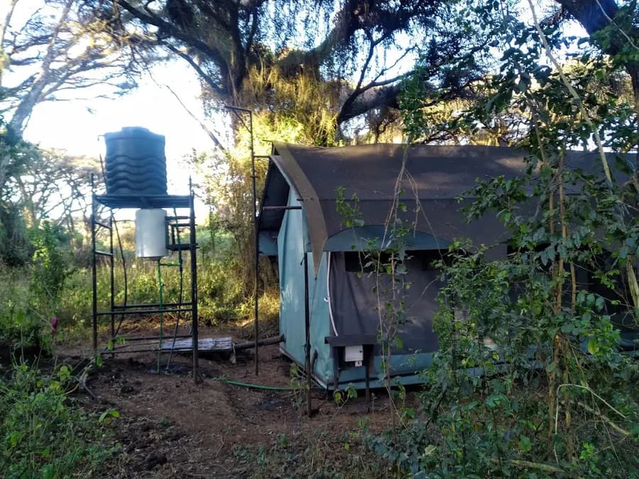 sanctuary-ngorongoro-crater-camp-tanzania — dining