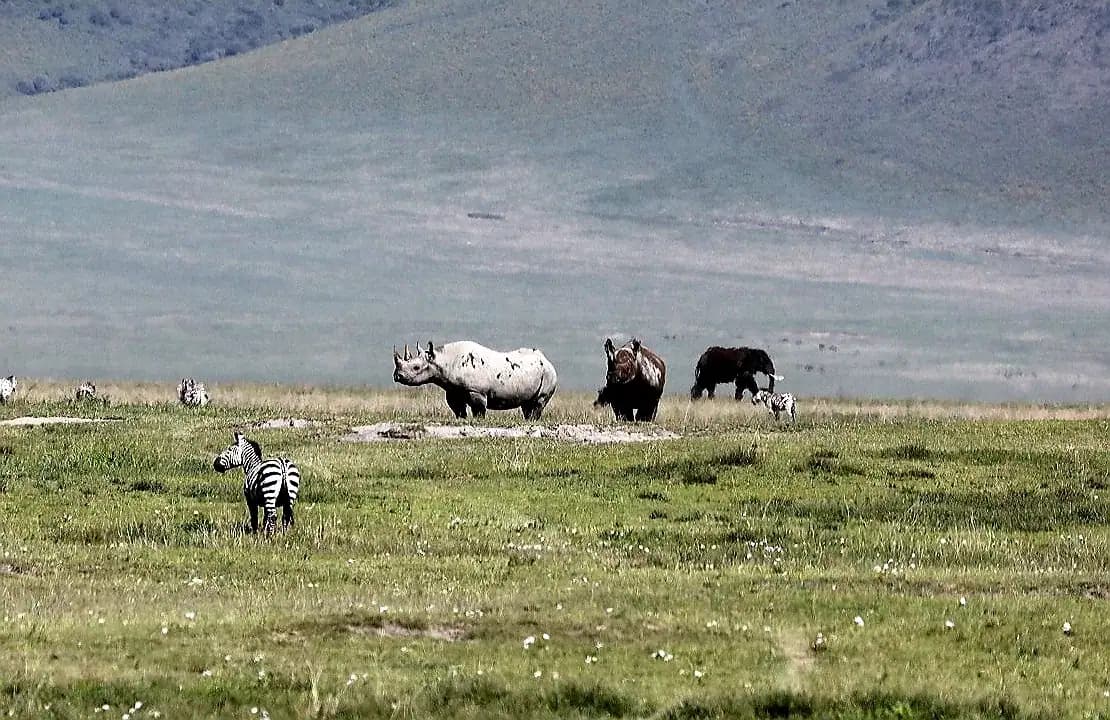 sanctuary-ngorongoro-crater-camp-tanzania — hero