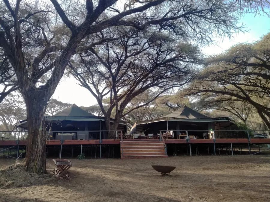 sanctuary-ngorongoro-crater-camp-tanzania — pool