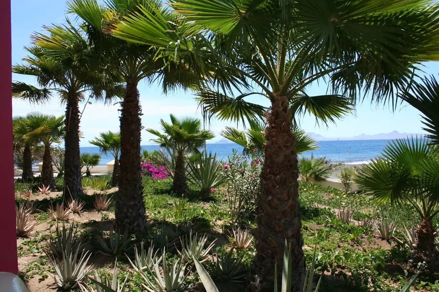 sodade-resort-santo-antao-cape-verde — dining