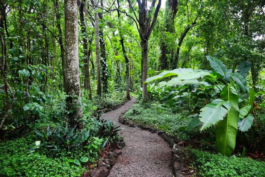stonefield-villa-resort-st-lucia — dining
