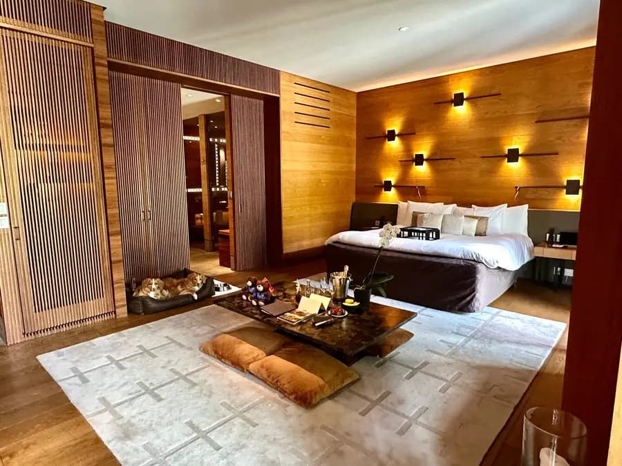 the-chedi-andermatt-switzerland — room