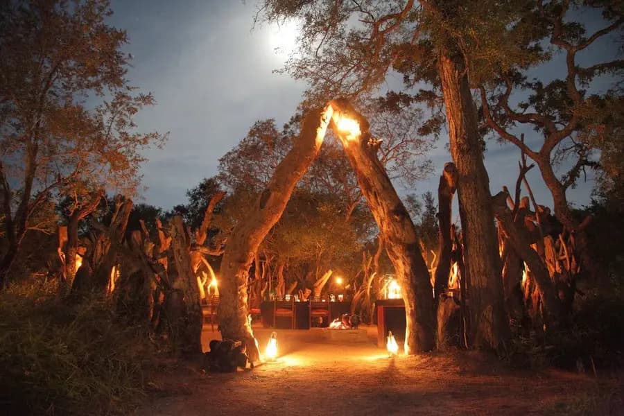 tintswalo-safari-lodge-south-africa — room