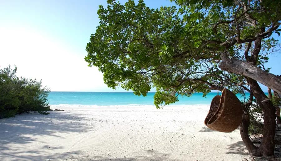 vamizi-island-lodge-mozambique — dining